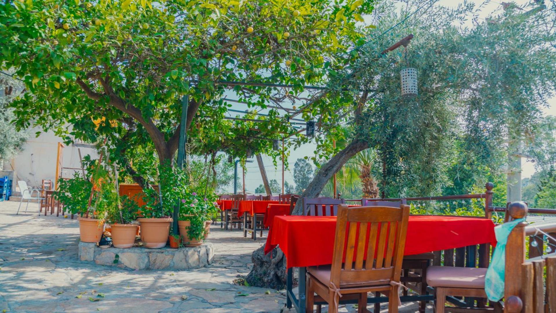 St. Nicholas Pension Patara Eksteriør bilde
