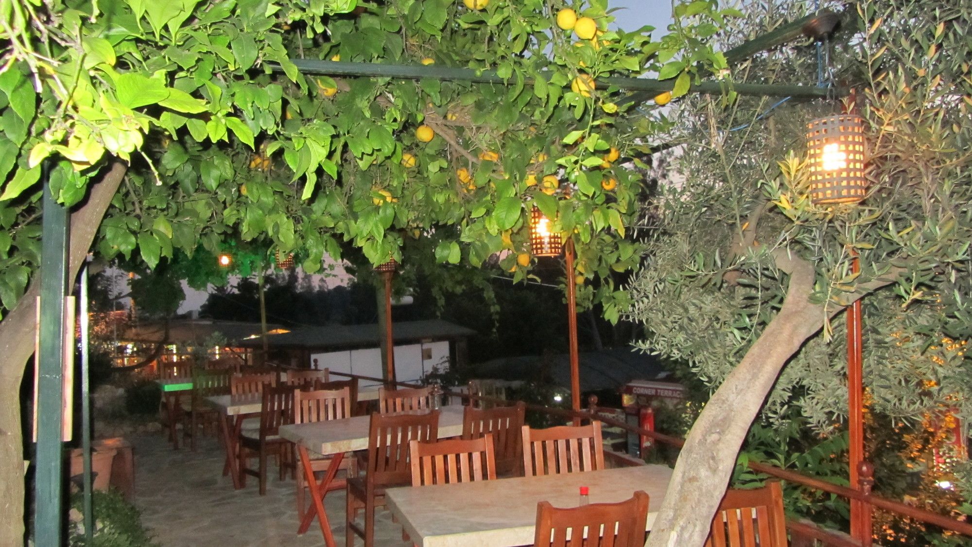 St. Nicholas Pension Patara Eksteriør bilde